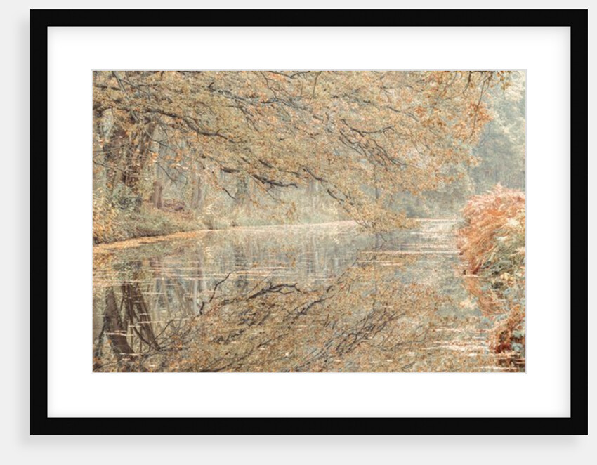 Canal through a forest by Assaf Frank